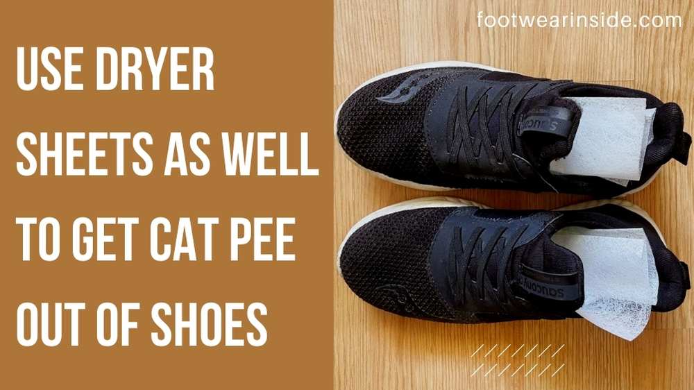 How To Get Cat Pee Out Of Shoes| 10 Easy Tips 3 You Can Use Dryer Sheets As Well